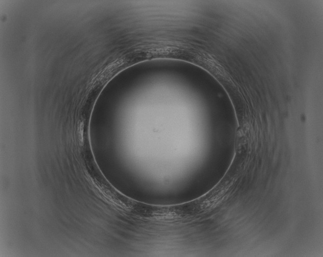 X0000077340454200611031800