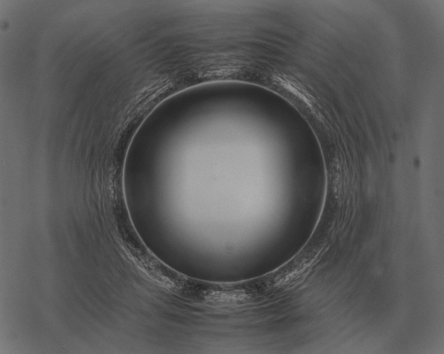 X0000077340455200611031800