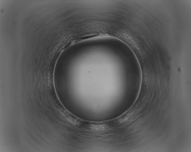 X0000077340457200611031800