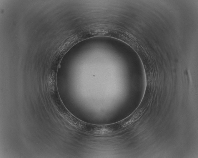 X0000077340460200611031800