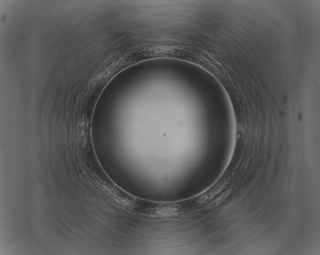 X0000077340462200611031800