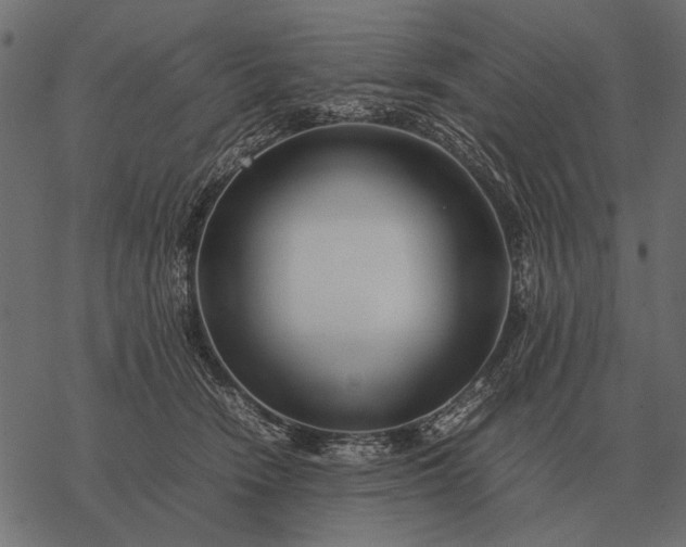 X0000077340466200611031800