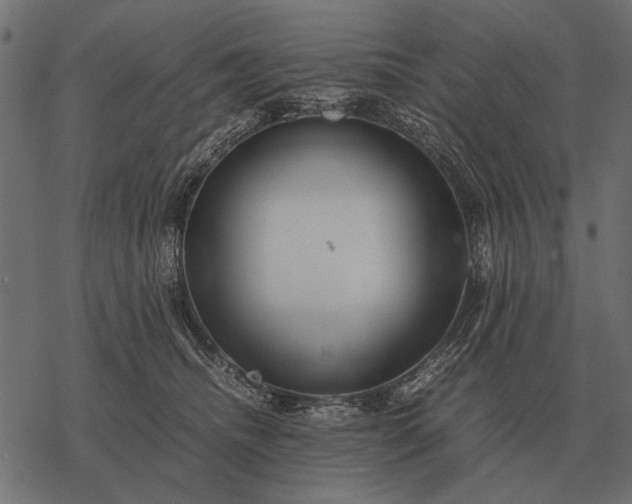 X0000077340468200611031800