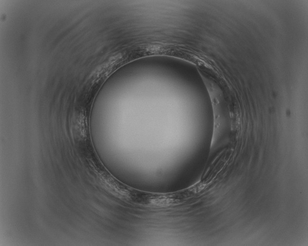 X0000077340470200611031800