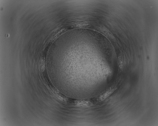X0000077340471200611031800