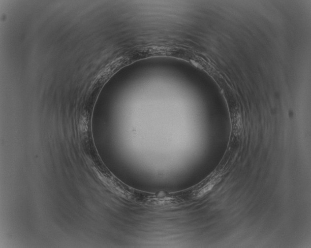 X0000077340472200611031800