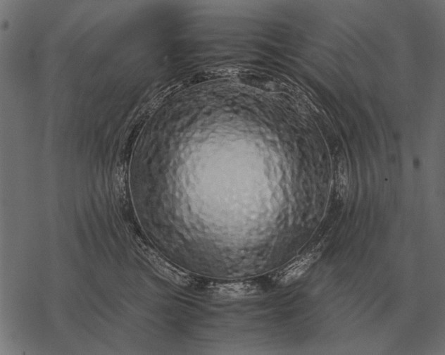 X0000077340473200611031800