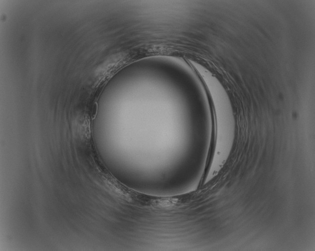X0000077340474200611031800