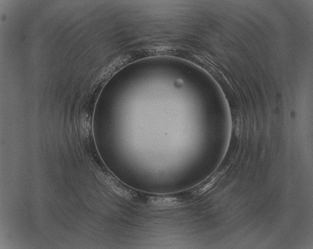 X0000077340476200611031800
