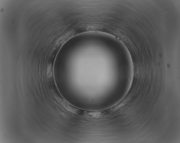 X0000077340478200611031800
