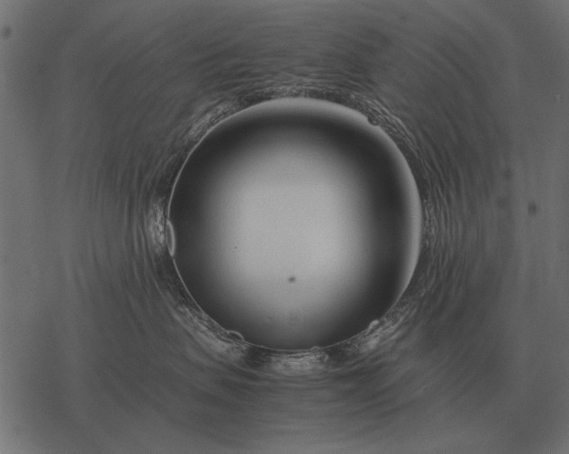 X0000077340479200611031800