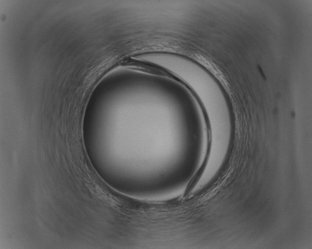 X0000077340481200611031759