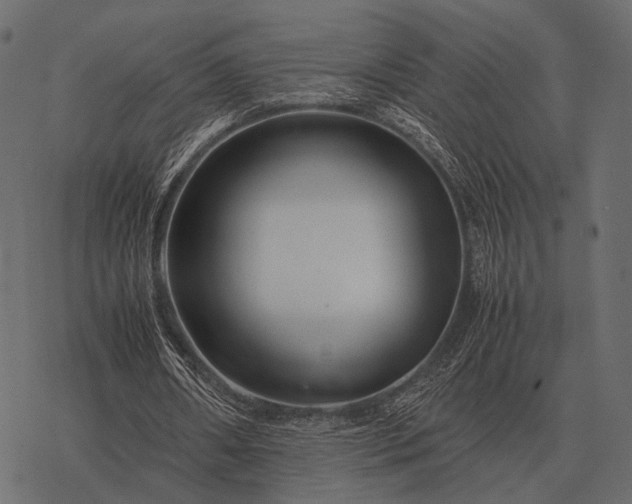 X0000077340482200611031759