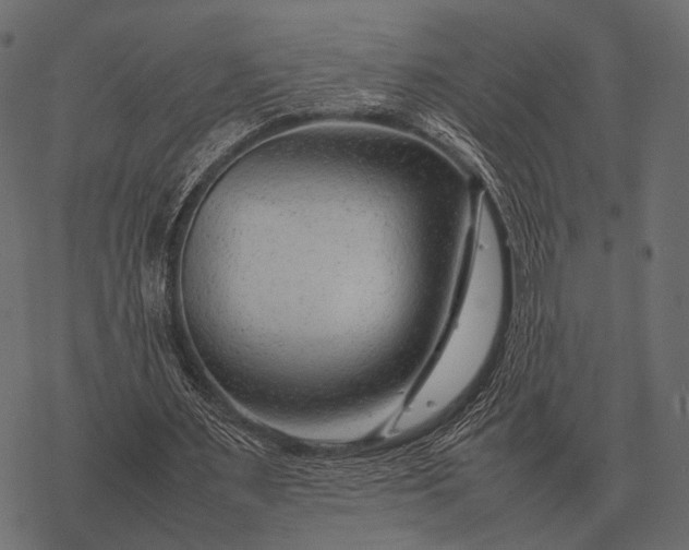 X0000077340483200611031759