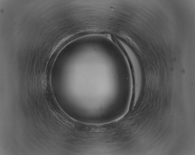 X0000077340484200611031759