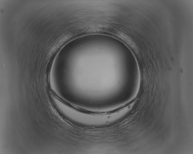 X0000077340485200611031759