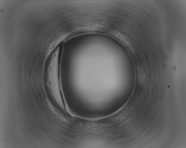 X0000077340486200611031759