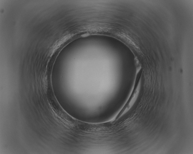 X0000077340488200611031759