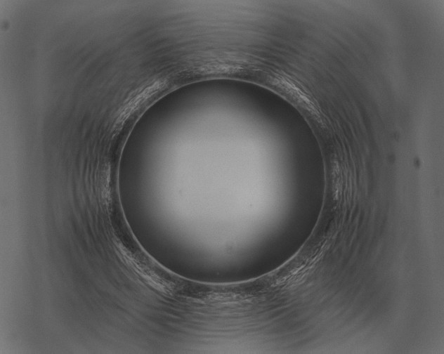 X0000077340490200611031759