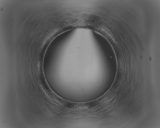 X0000077340491200611031759