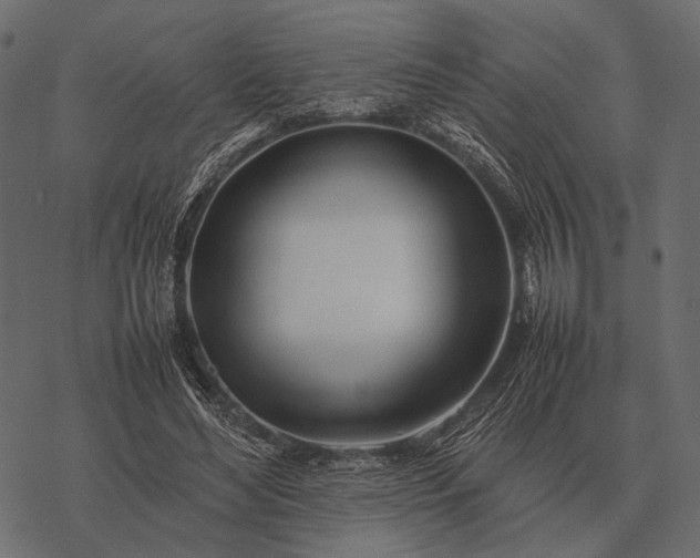 X0000077340492200611031759