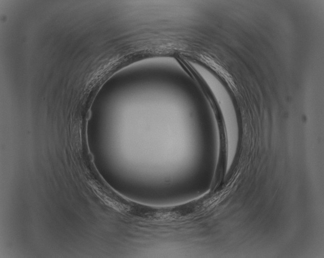 X0000077340493200611031759
