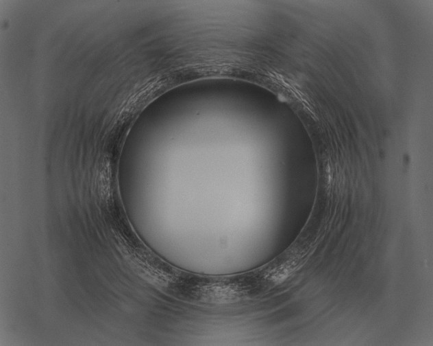 X0000077340498200611031759