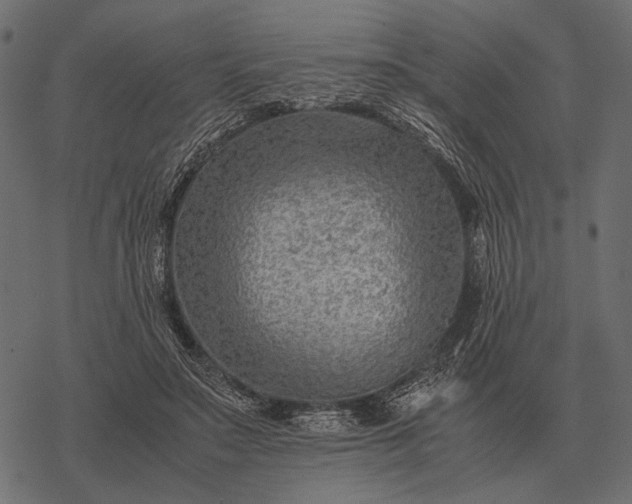 X0000077340499200611031759