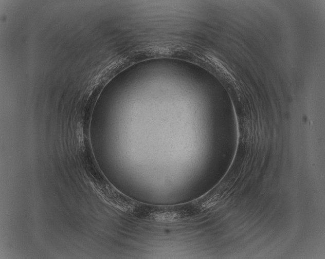 X0000077340500200611031759