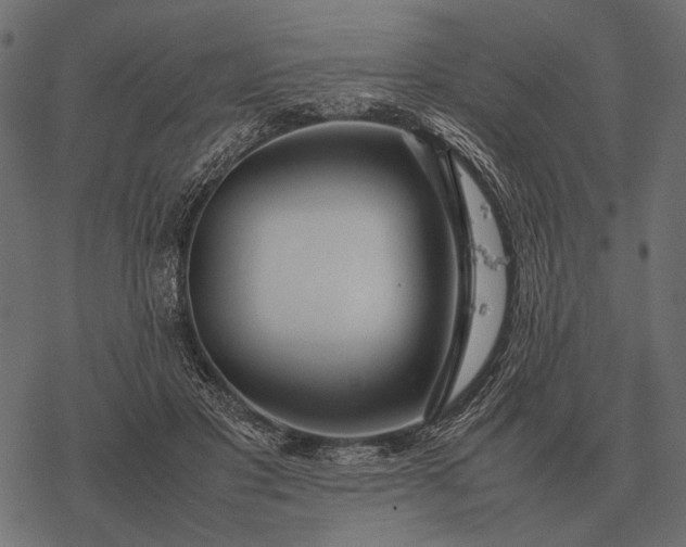 X0000077340501200611031759