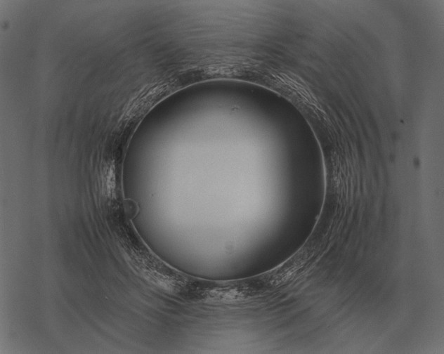 X0000077340502200611031759
