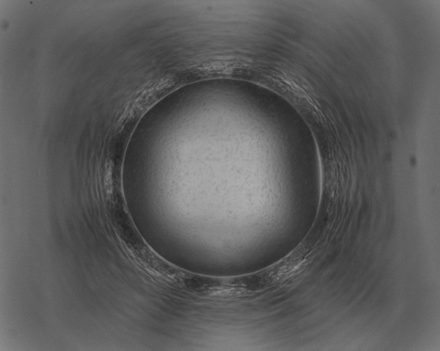 X0000077340504200611031759