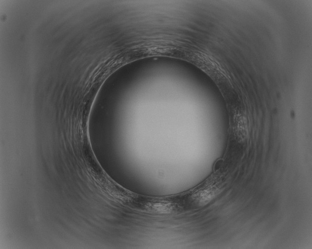 X0000077340506200611031759