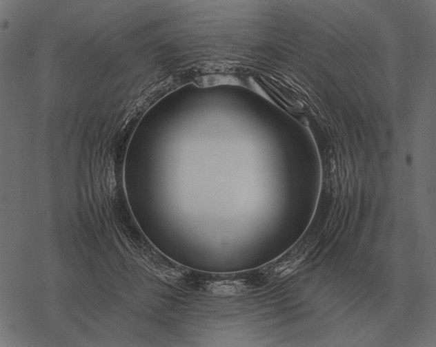 X0000077340508200611031759