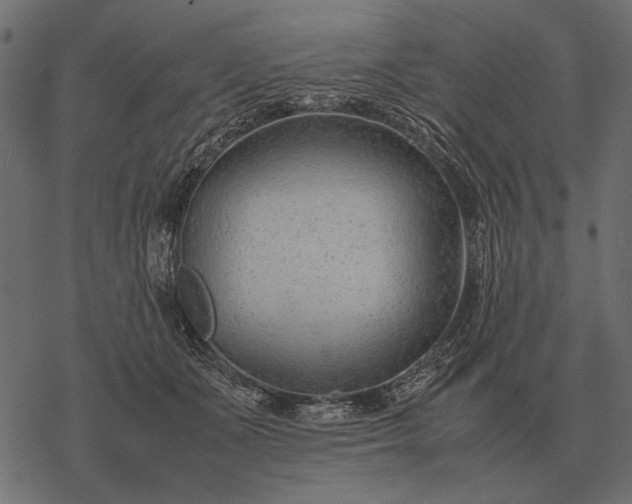 X0000077340511200611031759