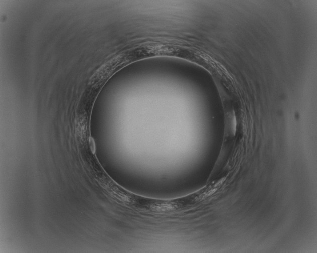 X0000077340513200611031759