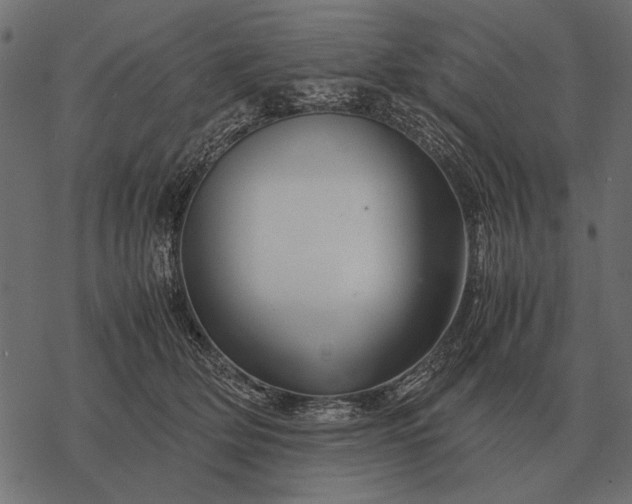 X0000077340514200611031759