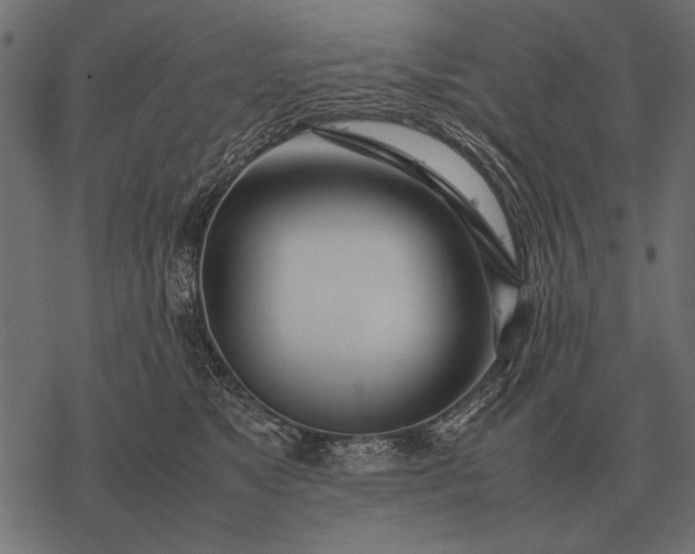 X0000077340517200611031759