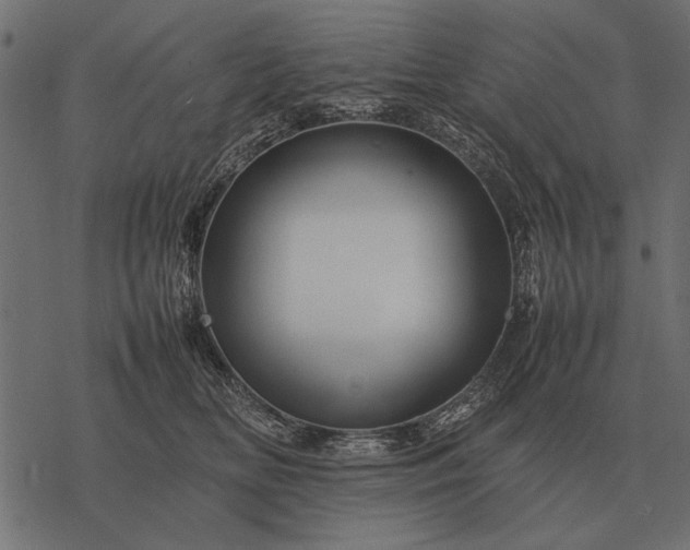 X0000077340518200611031759