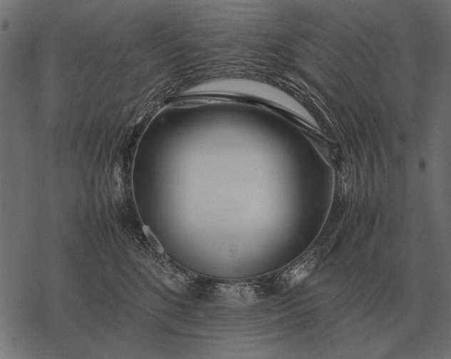 X0000077340520200611031759