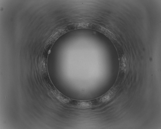 X0000077340522200611031759