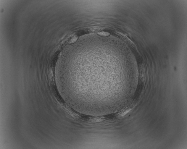 X0000077340523200611031759