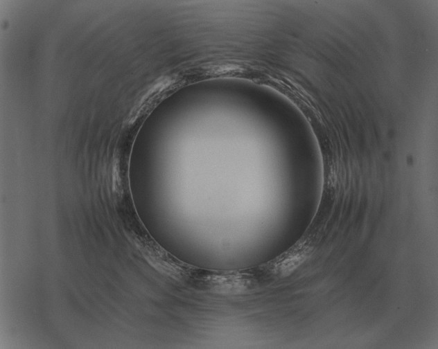 X0000077340524200611031758