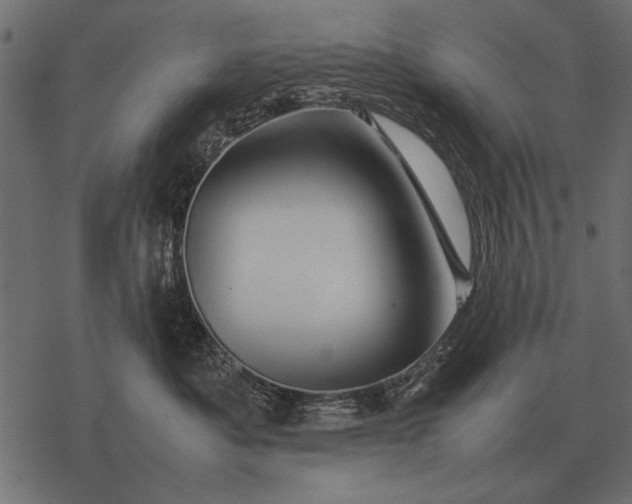 X0000077340525200611031758