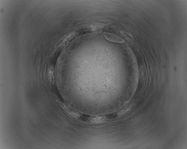 X0000077340527200611031758