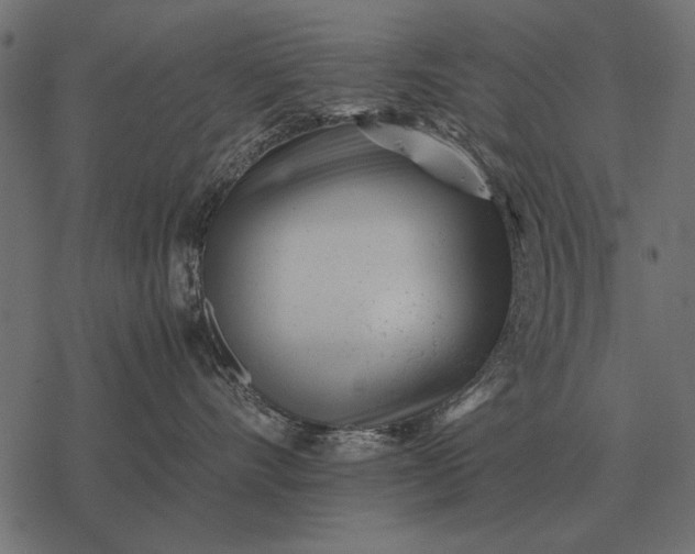 X0000077340528200611031758