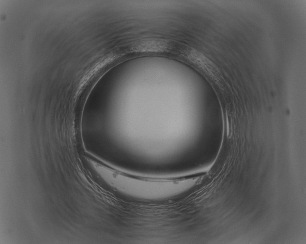 X0000077340531200611031758