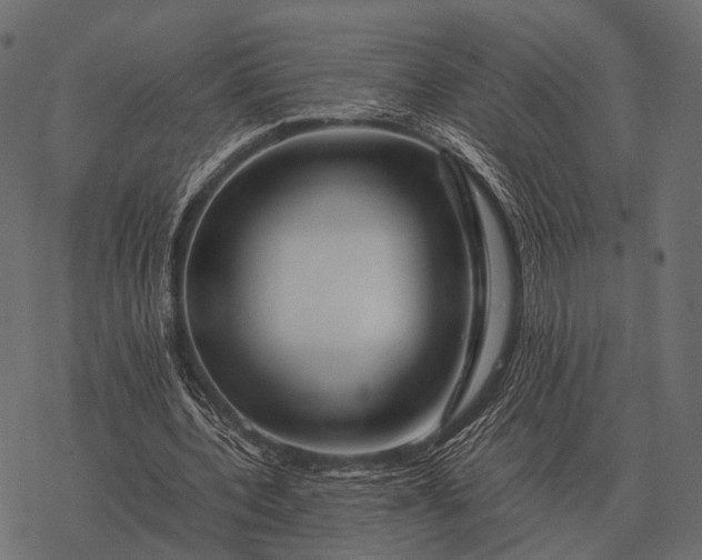 X0000077340532200611031758