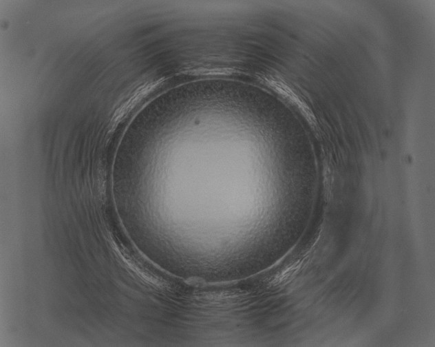 X0000077340533200611031758