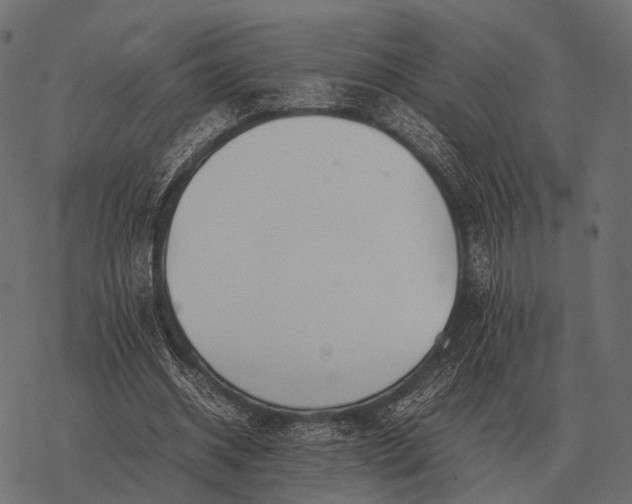 X0000077340534200611031758